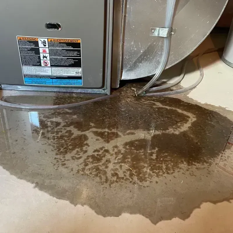 Appliance Leak Cleanup in Strafford County, NH